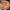Ardore Gas-Pizzaofen 