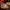 Blind Bake Edelstahlplatte in Aktion beim Vorbacken einer Pizza im Holzofen.